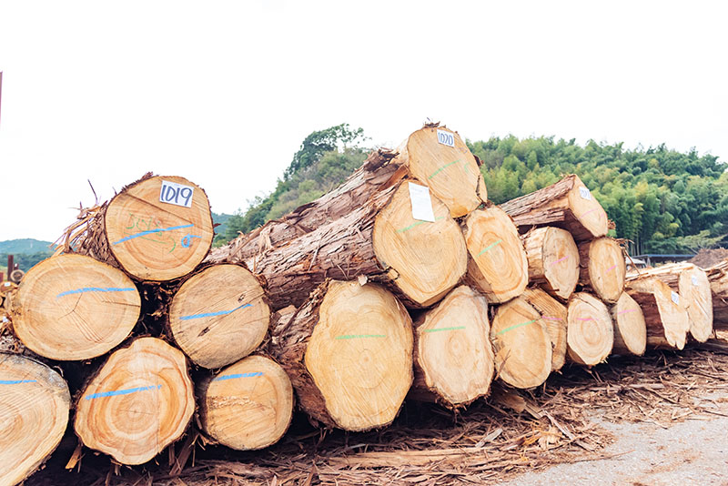 家の構造材に静岡県