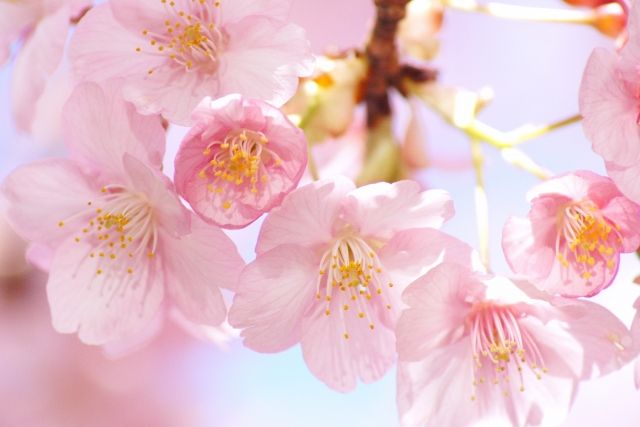 スタッフブログ移設のお知らせ