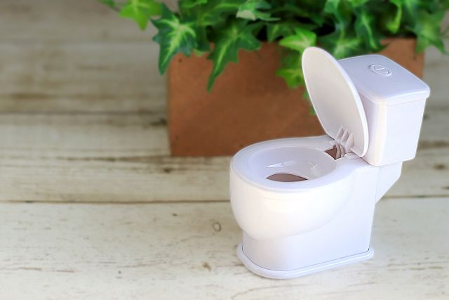 家にトイレはいくつ必要？