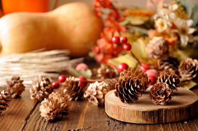 子育て・暮らしの応援団 イベントカレンダー 2019.11月