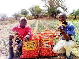 持続可能な農業が若者の流出を食い止める　セネガルで作る「畑の教科書」