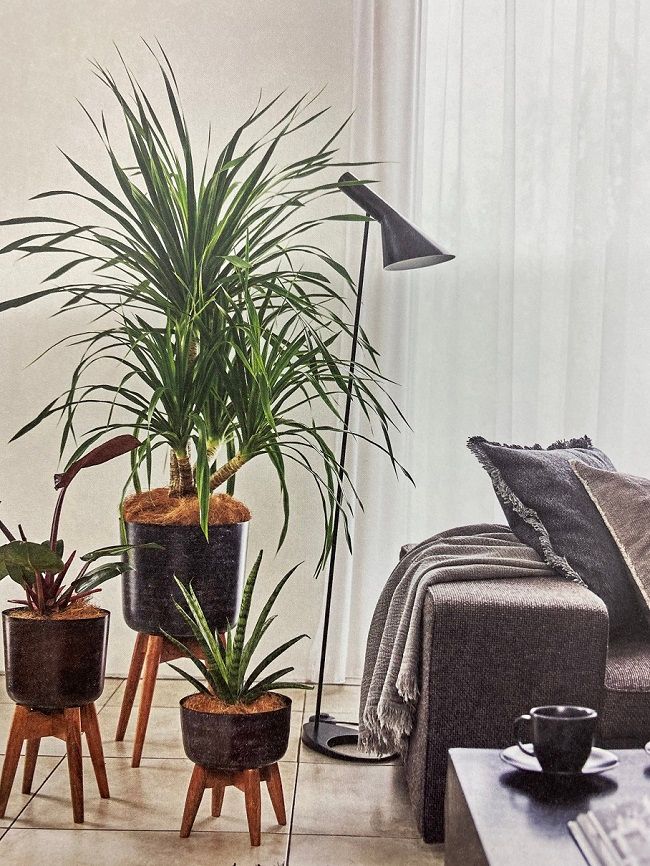 アンテナを張り巡らせて・・・