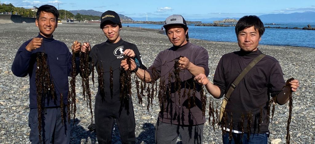 メディアで話題の「しずまえアカモク」