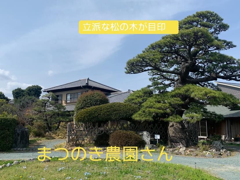 さんばルーム@まつのき農園