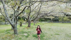 山崎、春のRunまつり