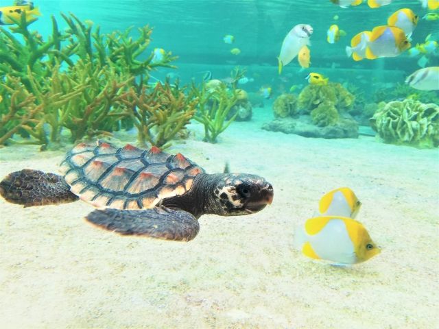 2021.7月イベントカレンダー