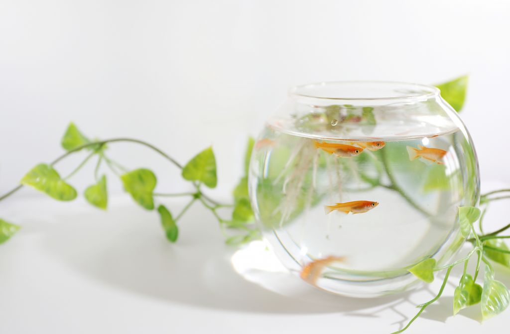 夏期休業のお知らせ