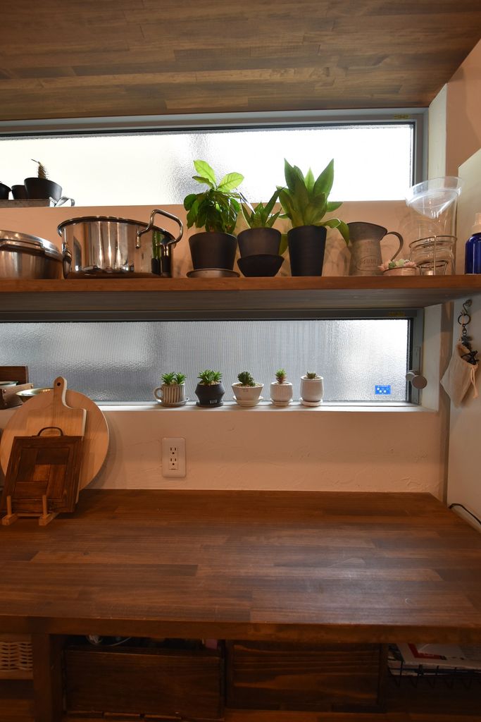 多肉植物　栽培　寄せ植え