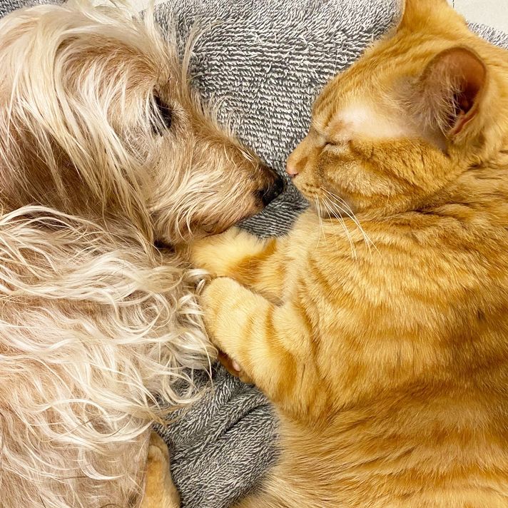 スタッフの家族を紹介します♪