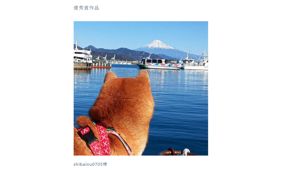 X’masに届いた嬉しいご報告