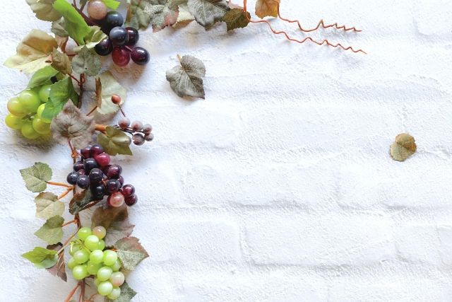 2024.09月｜暮らしのイベントスケジュール