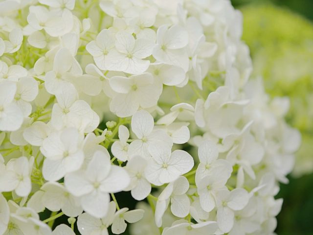 2024.06月｜暮らしのイベントスケジュール