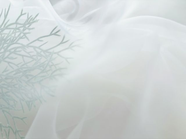 2024.12月｜暮らしのイベントスケジュール