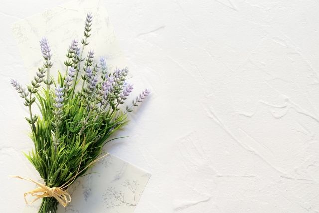 2024.08月｜暮らしのイベントスケジュール