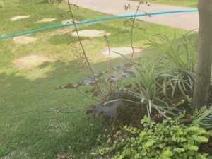 自遊の森｜庭のあるくらし施工事例｜静岡｜注文住宅｜アトリエサクラ