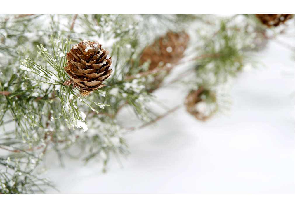 2025.2月｜暮らしのイベントスケジュール