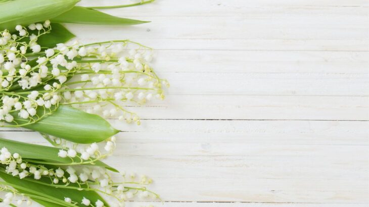 GW休暇のお知らせ