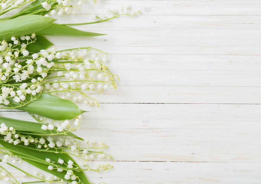 GW休暇のお知らせ