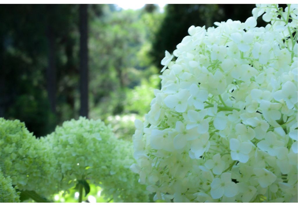 2025.6月｜暮らしのイベントスケジュール